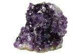 Free-Standing, Amethyst Geode Section - Large Crystals #171956-1